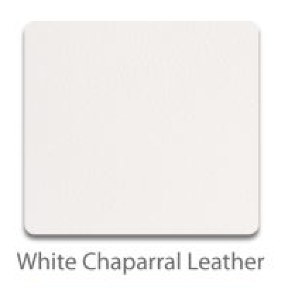 Riedell Toe Guards (pair)