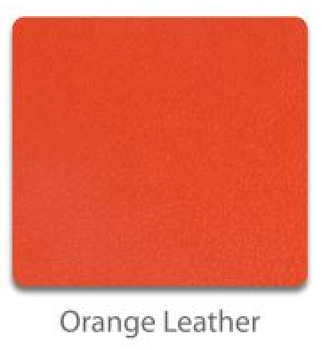 Riedell Toe Guards (pair)