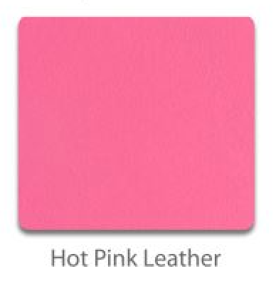 Riedell Toe Guards (pair)